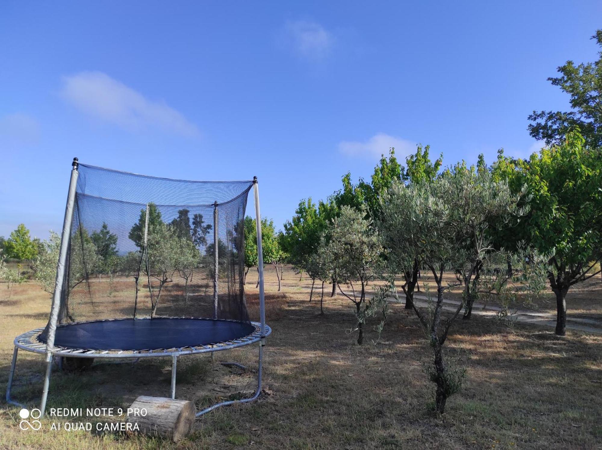 Quinta Damigo Guest House Seia Exterior photo