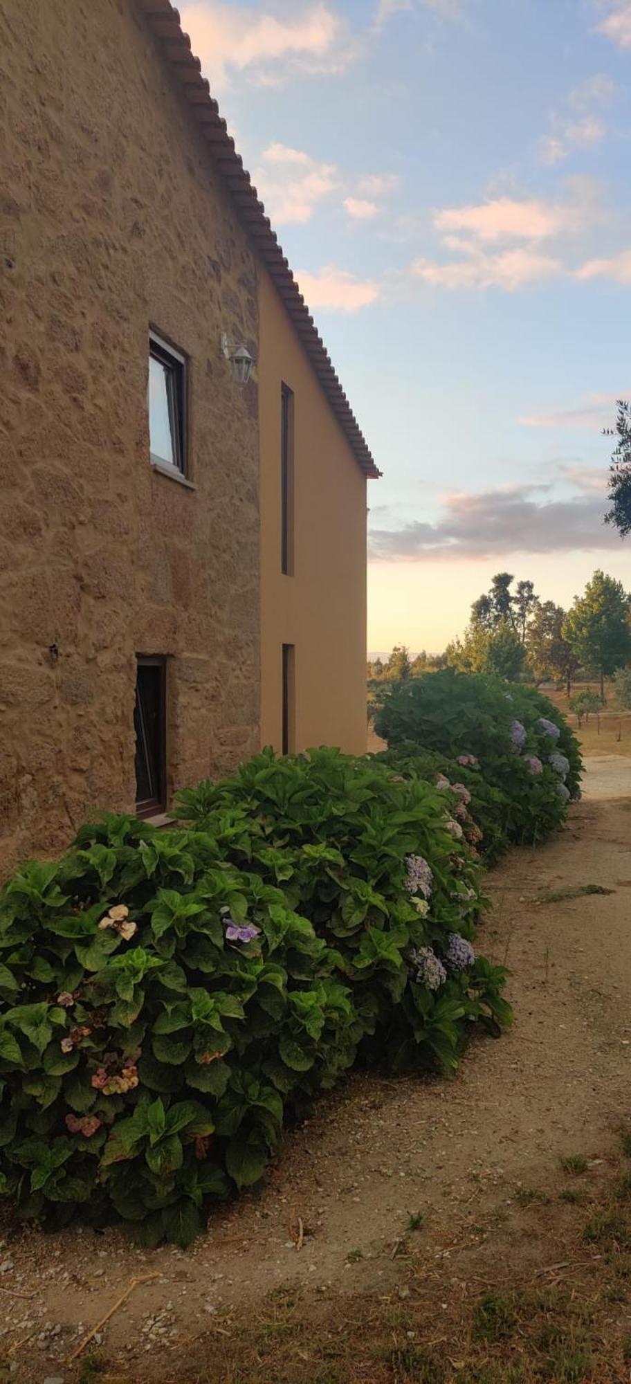 Quinta Damigo Guest House Seia Exterior photo