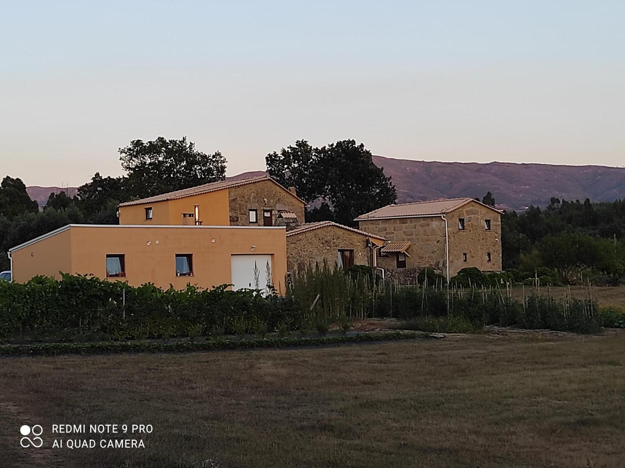 Quinta Damigo Guest House Seia Exterior photo