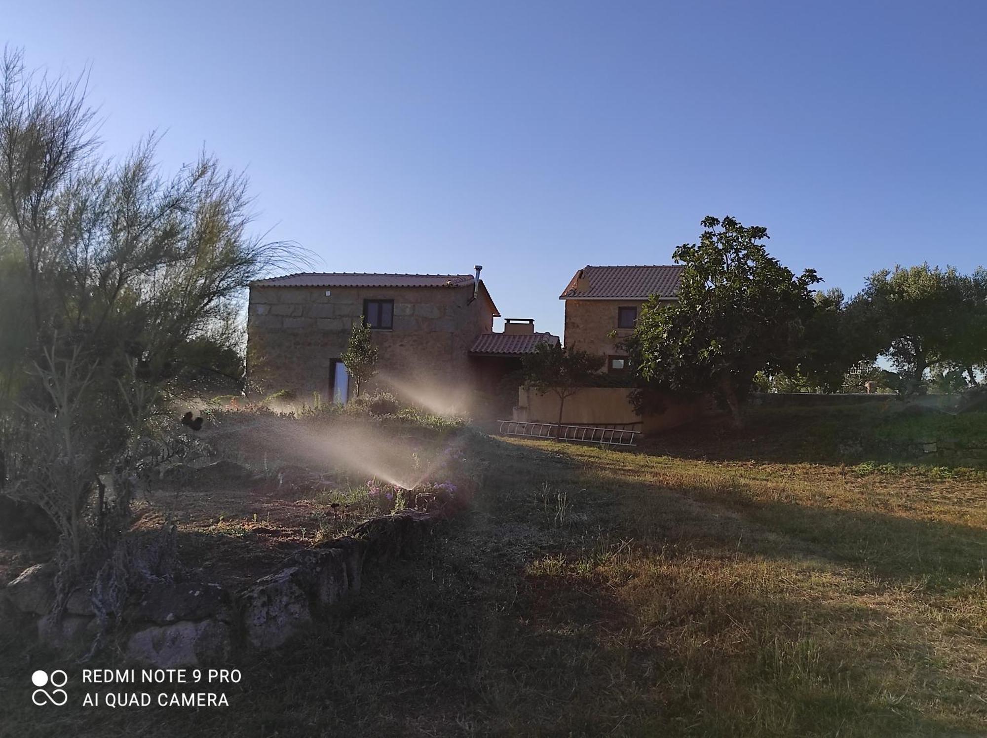 Quinta Damigo Guest House Seia Exterior photo