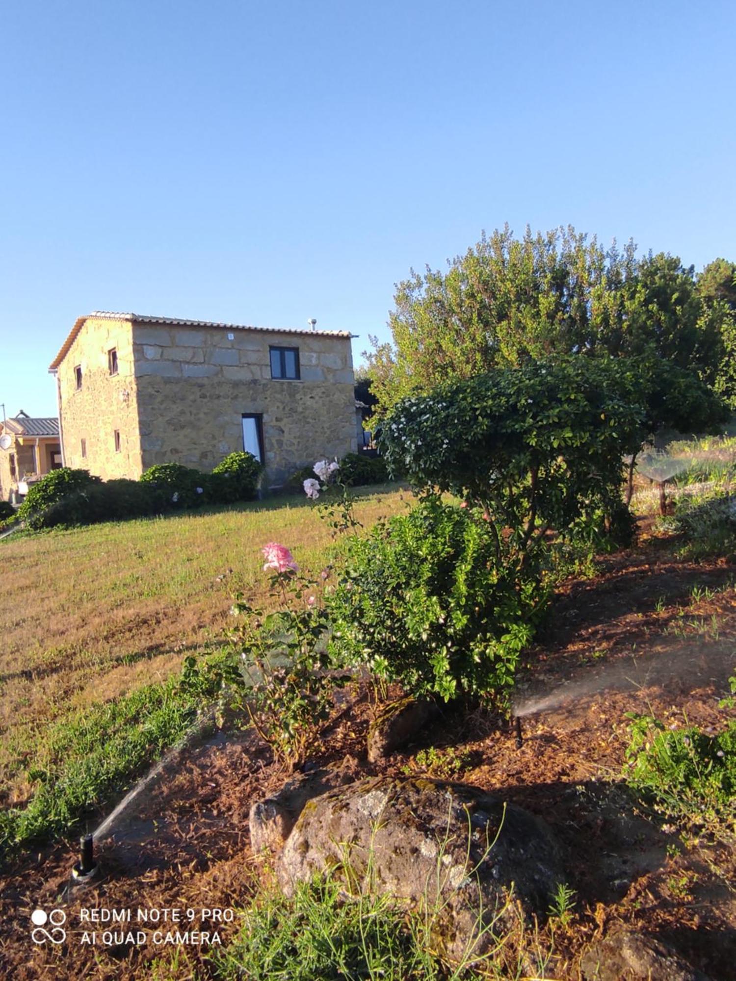 Quinta Damigo Guest House Seia Exterior photo